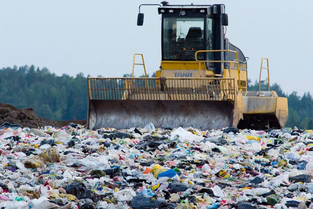 В День добровольца региональные отделения банка еды «Русь» обменялись опытом